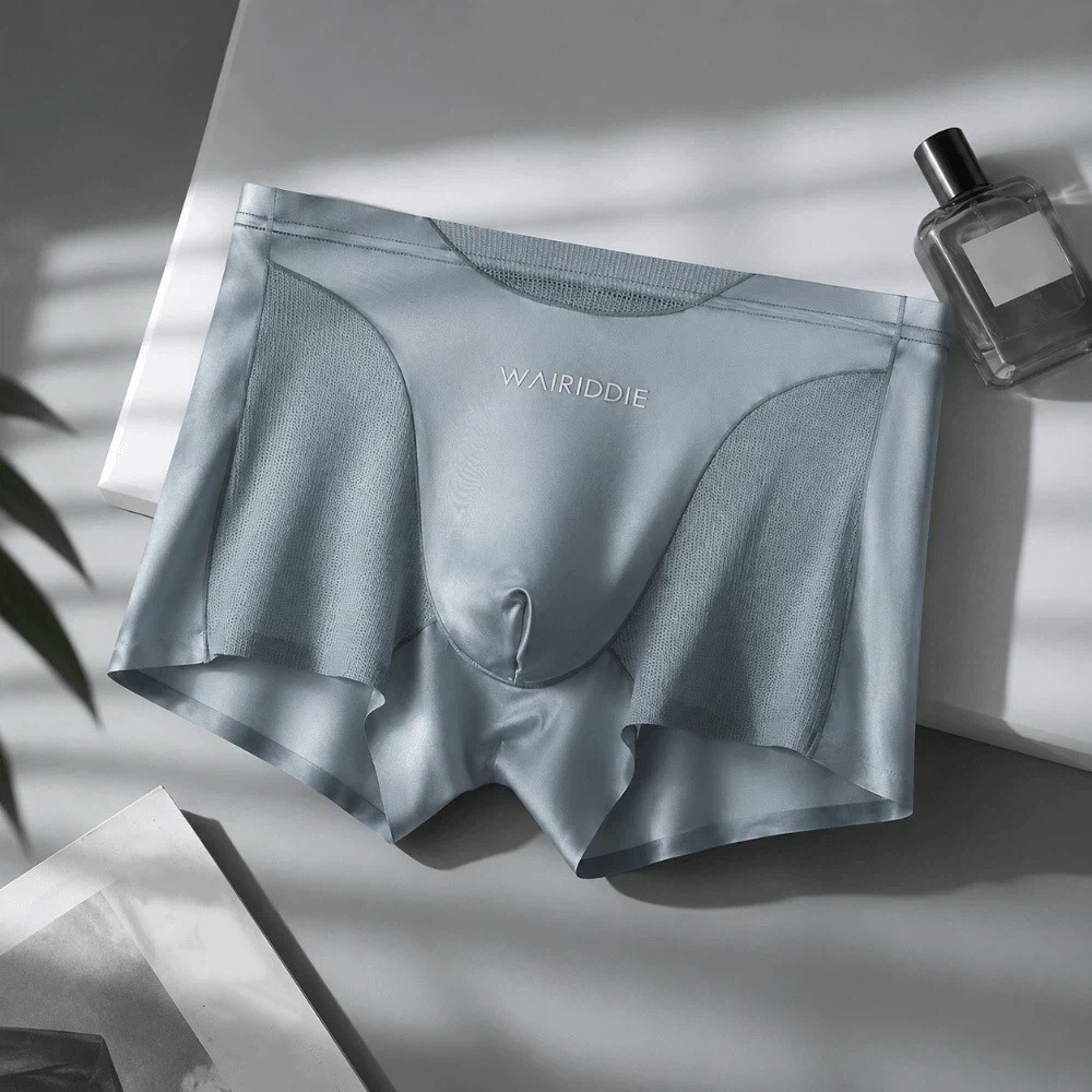 กางเกงในผ้าไหมตาข่ายแบบเรียบง่ - Mesh Sport Boxer บทวิจารณ์และราคา